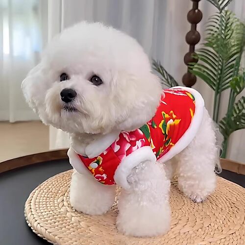 狗狗衣服秋冬保暖喜庆防掉毛