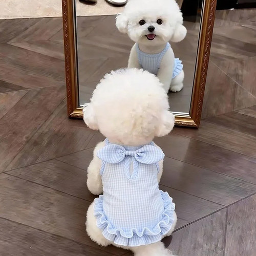狗狗衣服春夏透气蝴蝶结吊带连衣裙中小型犬背心猫咪防掉毛公主裙
