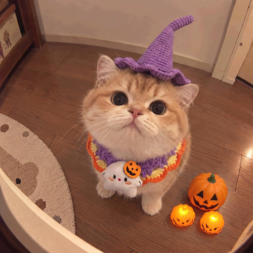 万圣节猫咪针织口水巾帽可爱拍照
