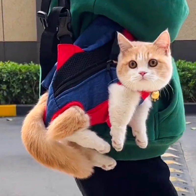 猫包猫咪外出双肩背包