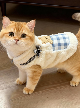 猫咪衣服秋冬季棉衣可爱保暖金渐层布偶英短防掉毛小狗狗加绒卫衣