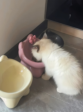 猫碗陶瓷碗可爱猫食盆喝水猫粮罐头保护颈椎不易打翻防黑下巴狗碗