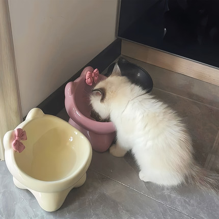 猫碗陶瓷碗可爱猫食盆喝水猫粮罐头保护颈椎不易打翻防黑下巴狗碗