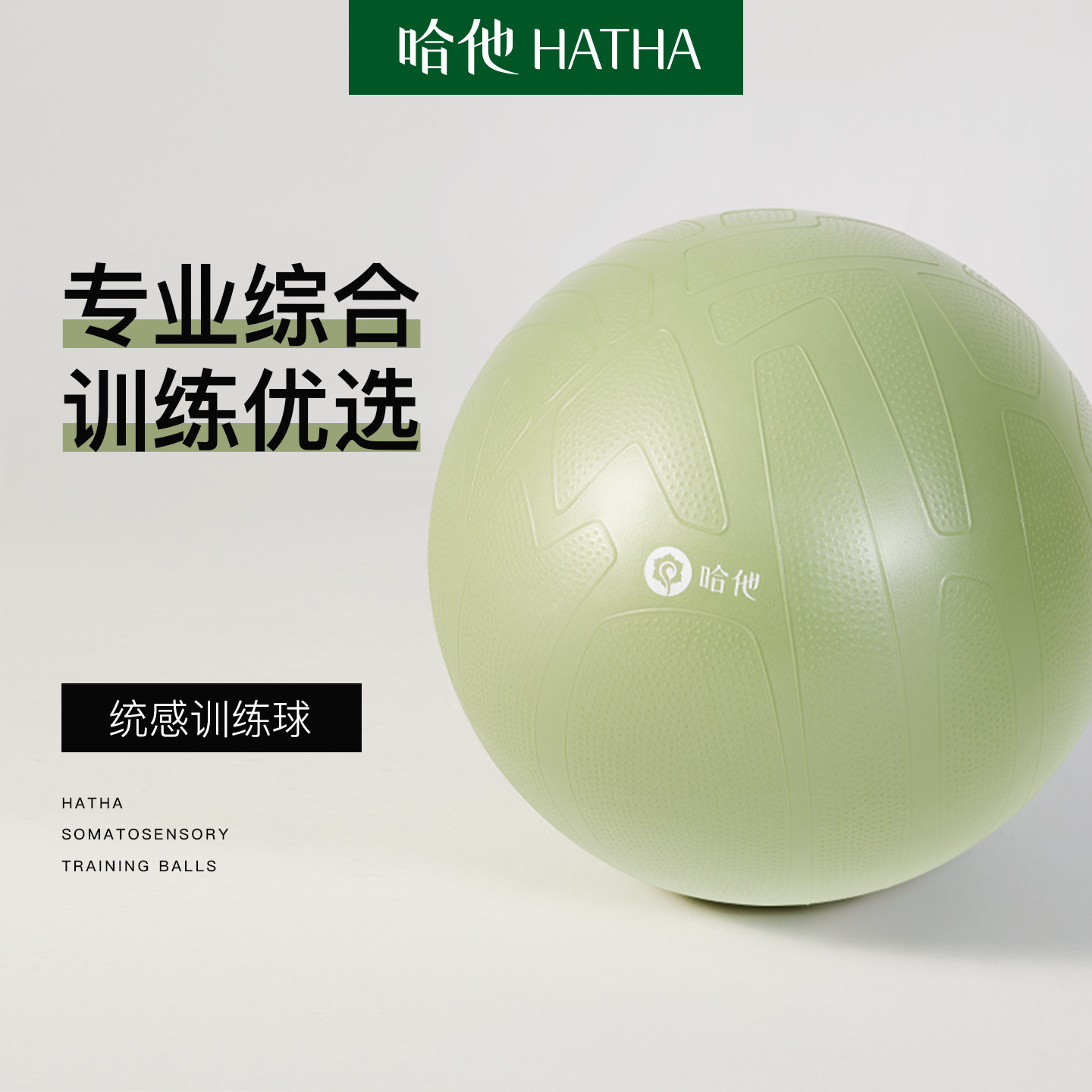 哈他瑜伽球加厚防爆专业健身球训练减肥练腰孕妇专用助产儿童感统