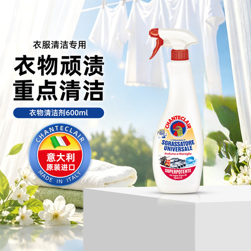重点清洁顽固污渍清洁剂去渍剂