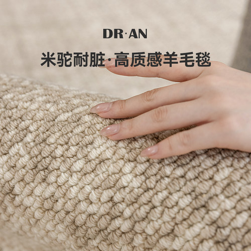 DRAN客厅极简羊毛耐脏地毯