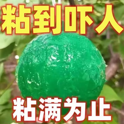 粘虫球诱蝇球针蜂贴引诱剂果蝇诱捕器双面黄板纸果园菜园强力果实