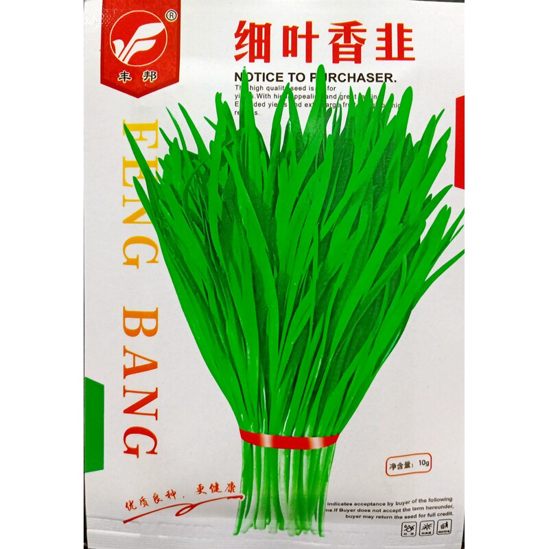 细叶香韭菜种子传统农家老品种窄叶味浓香蔬菜种籽10克约1000粒