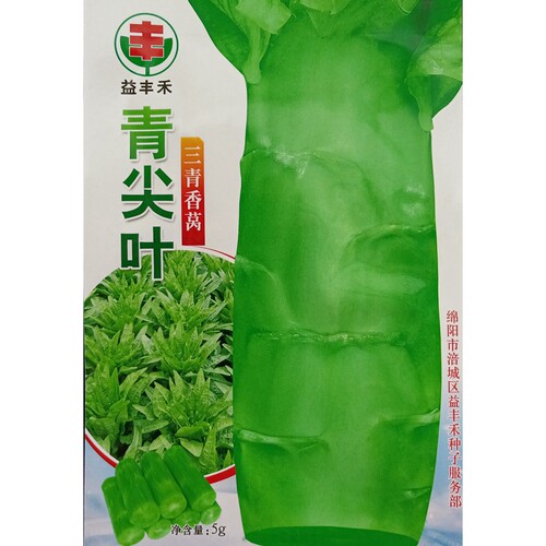 青尖叶三青莴笋种子5克