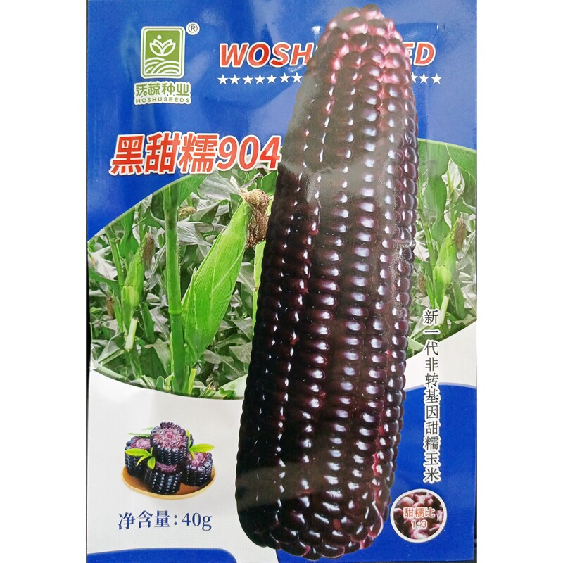 沃蔬黑甜糯904玉米种子甜糯黑玉米糯粘黑苞谷鲜食春秋播40克100克