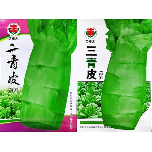 二青皮三青皮莴笋莴苣种子5克
