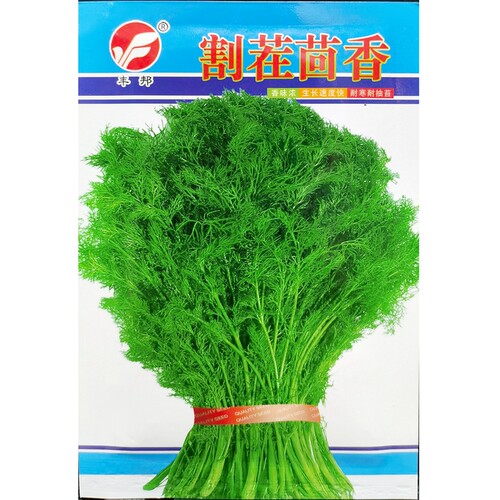 割茬多茬春秋播种茴香种子10克