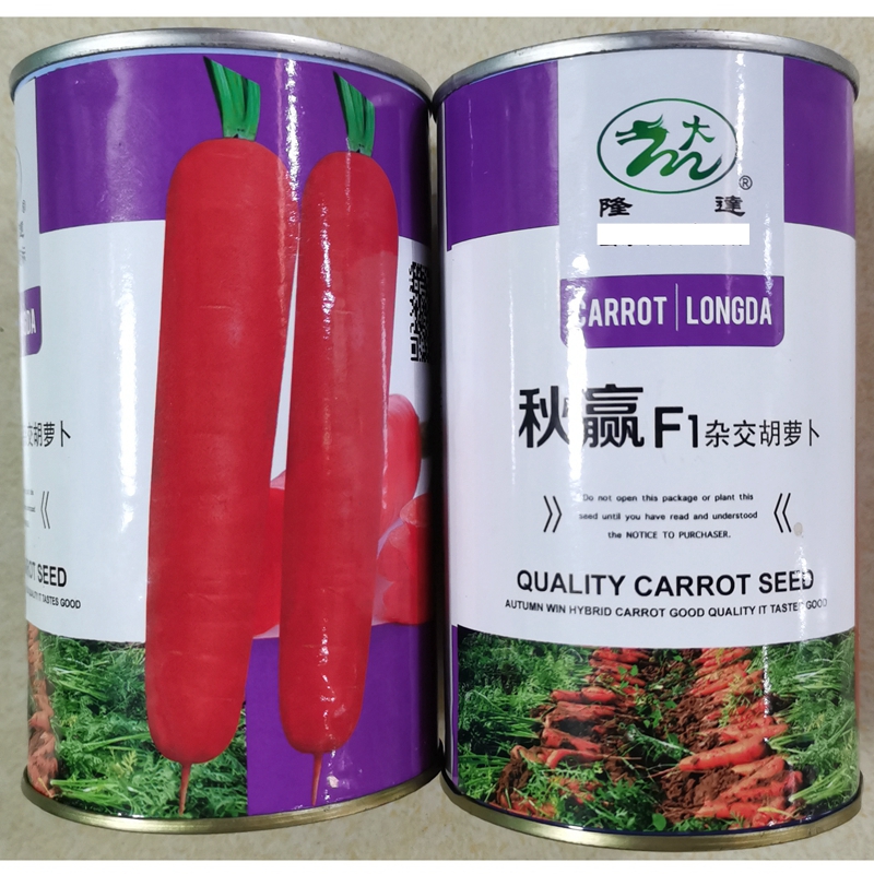 隆达杂交胡萝卜种子红皮红心
