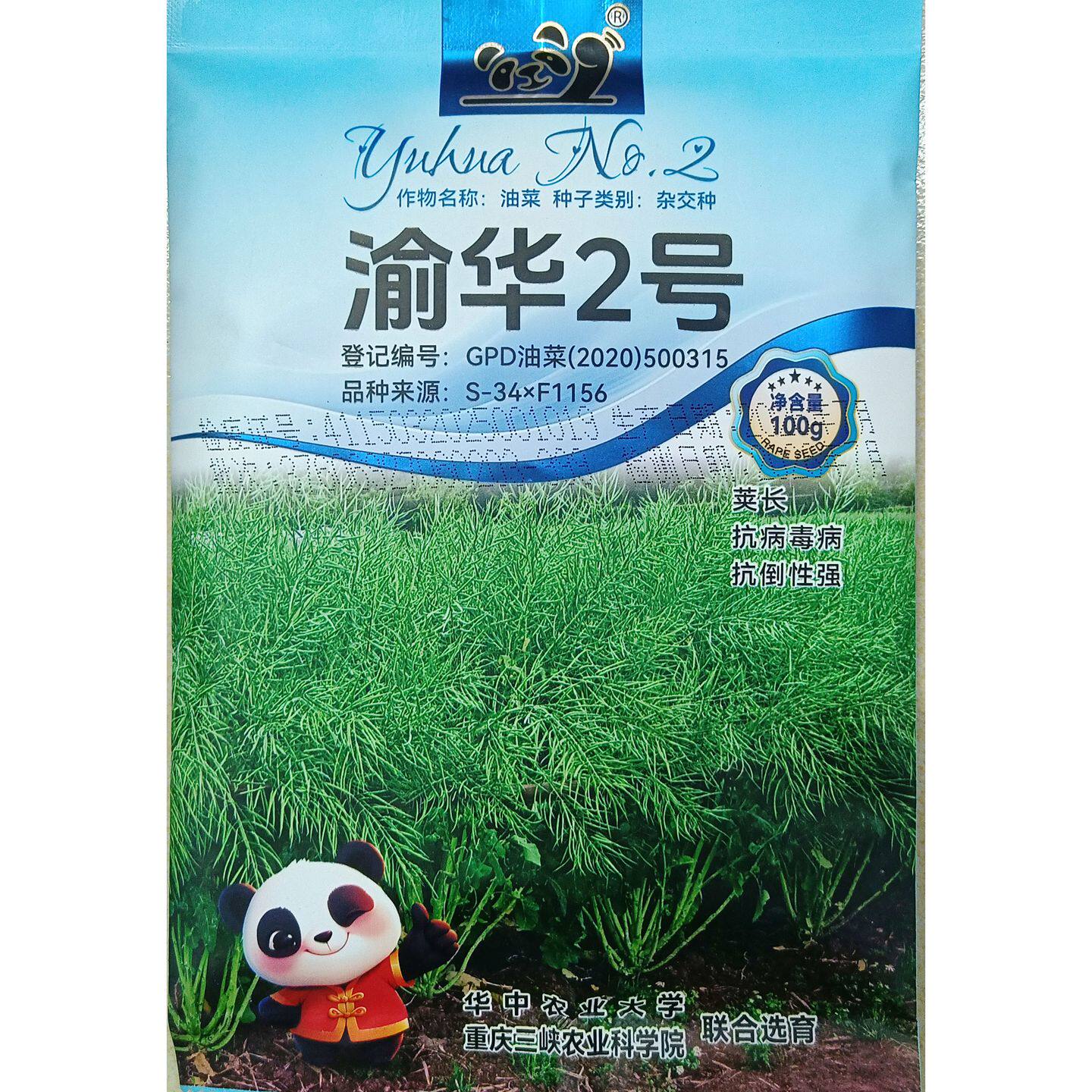 中菓渝华2号油菜种子杂交高杆型出油率高榨油甘蓝型秋冬季播100克