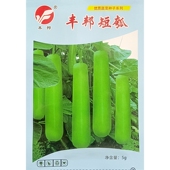 丰邦短瓠种子早生短棒瓠瓜种籽25 30厘米蒲瓜早熟户子5克 约40粒