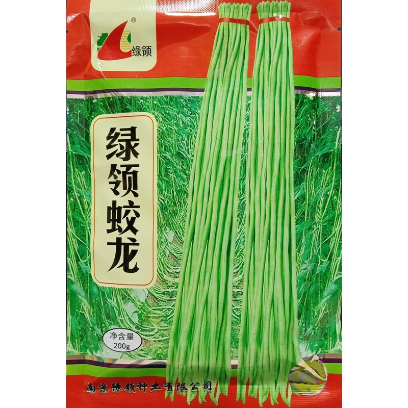 绿领蛟龙豇豆种子小叶绿白条长青豆角缸江豆种籽肉厚耐老200克/袋