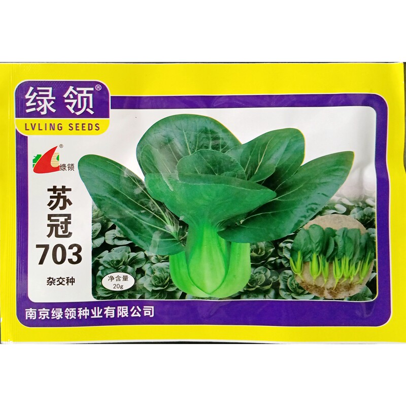 绿领苏冠703苏州青种子耐寒杂交绿梗小白菜菜秧油菜鸡毛菜籽20克
