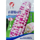 丰邦彩甜糯6号花糯甜玉米种子加甜加糯紫白粒鲜食苞谷棒子籽100克