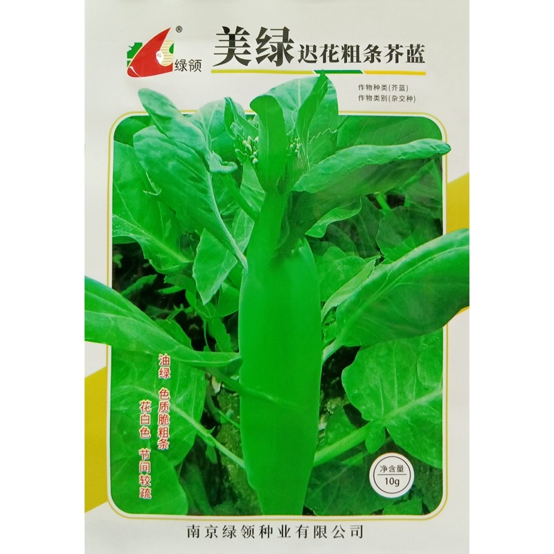 绿领美绿迟花粗条芥蓝种子粗茎中早熟脆嫩茎用芥兰春秋播种籽10克