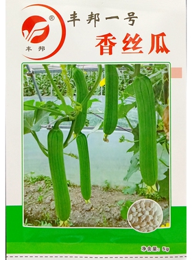 丰邦一号香丝瓜种子短型丝瓜烧汤不黑20-25厘米种籽白色5克约40粒