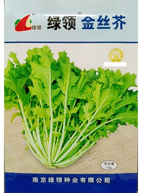 绿领金丝芥菜种子传统10克