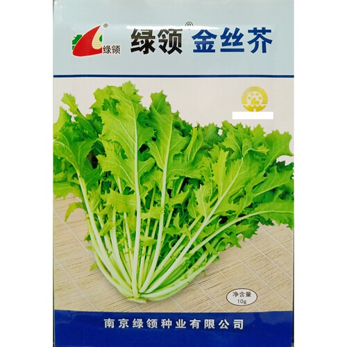 绿领金丝芥菜种子传统10克