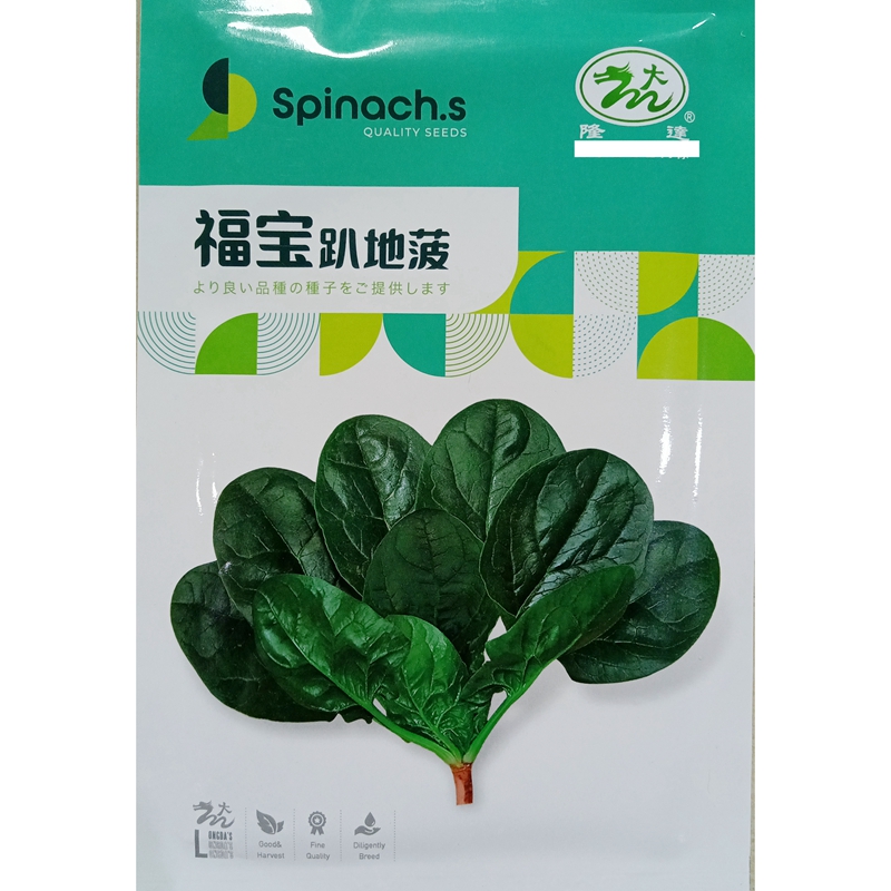 隆达福宝趴地菠菜种子叶片厚贴地杂交耐热耐寒短梗圆叶秋冬播40克