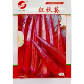 红秋葵种子红皮羊角豆早熟红荚蔬菜种籽春夏季 播种5克 袋约60粒