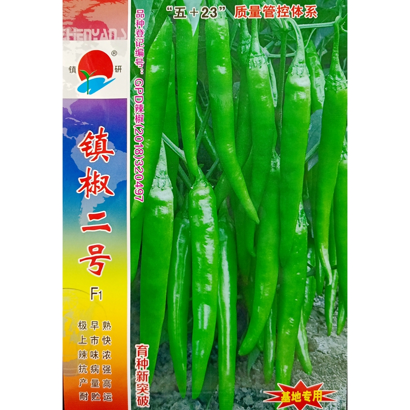镇研镇椒二号尖椒种子青椒羊角椒