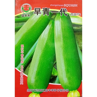 西葫芦种子青瓜5克春秋播种