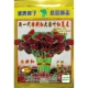港种新一代特别红大圆叶红苋菜种子998大红圆叶花红汗菜种籽40克