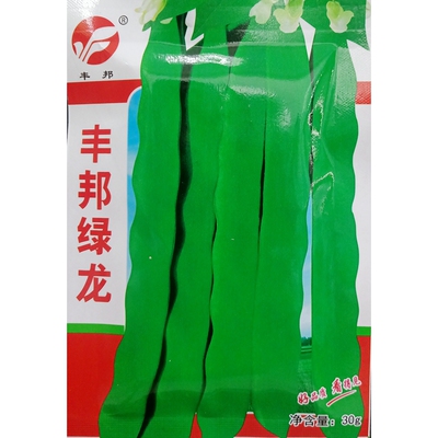 绿龙架豆种子宽荚四季豆30克