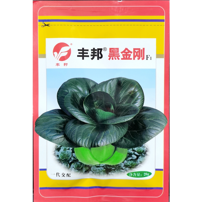 丰邦黑金刚杂交苏州青种子青菜