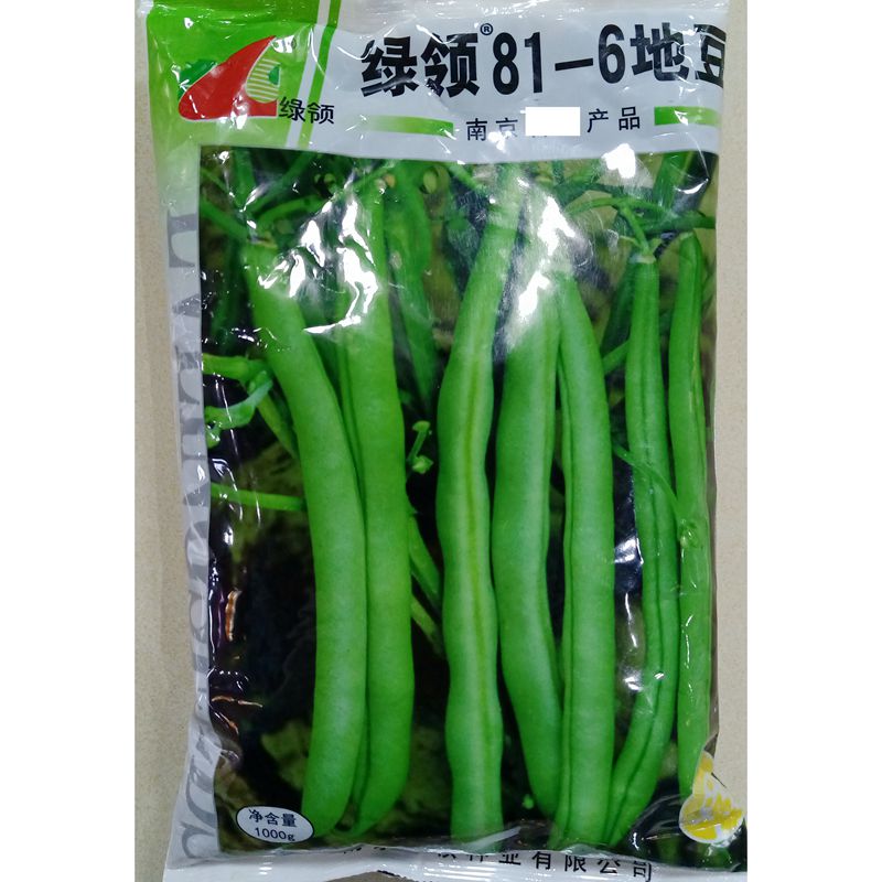 地豆种子无架四季豆无蔓不搭架