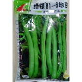 绿领81 豆无蔓不搭架不爬藤豆角菜豆种籽1000克 6地豆种子无架四季