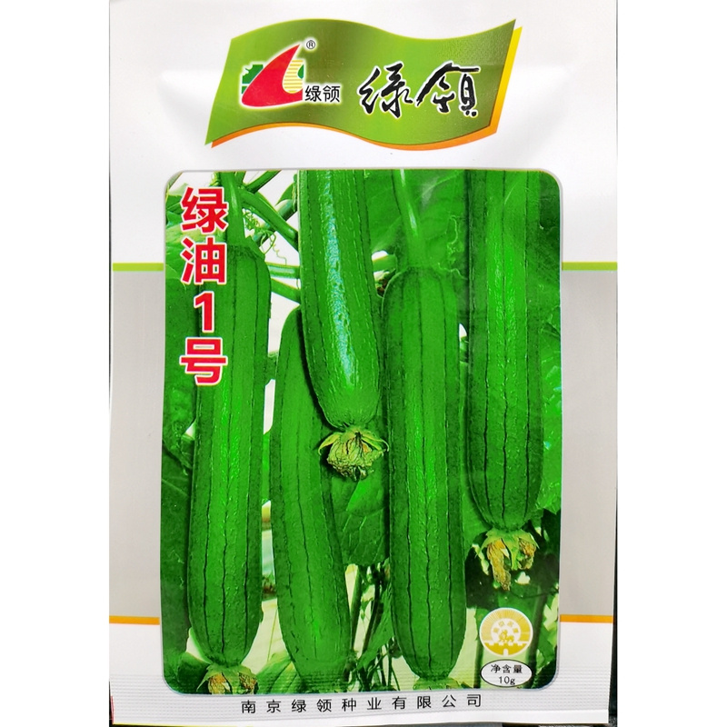 短丝瓜种子油亮型35厘米10克早熟