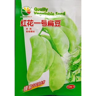 红花一号青扁豆种子绿青眉豆早熟型采收期长春季播种10克/约20粒