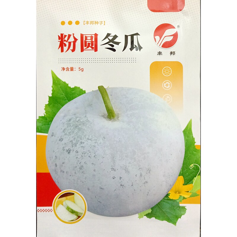 粉圆冬瓜种子迷你粉白皮约1公斤小节瓜种籽肉厚空心小5克约50粒