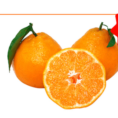 春见耙耙柑粑粑柑杷杷柑正宗水果新鲜整箱当季丑桔橘,水产肉类/新鲜蔬果/熟食,桔子,淘宝优惠券,粉丝福利购,淘宝优惠卷