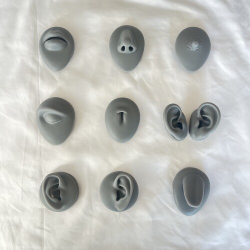 硅胶耳朵模型鼻子模型五官模型耳钉饰品穿孔展示工具