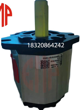 赛特玛SETTIMA原装G55V050FSBT1400SFV螺旋泵