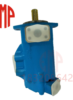 进口塞纳瑞液压泵S2520V-21AB-1CC-22R注塑机械油泵电动齿轮泵