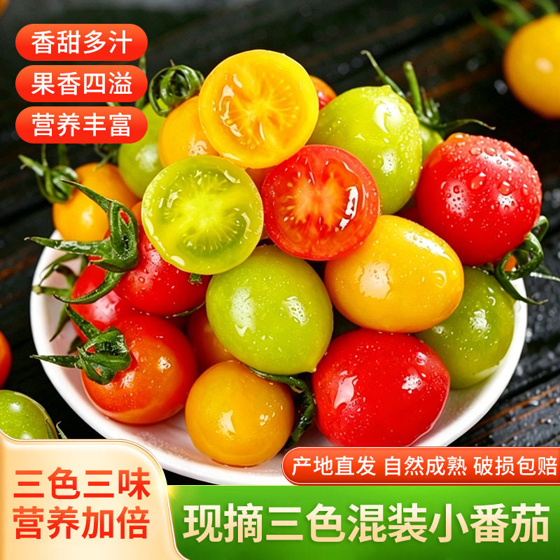 超甜三色小番茄千禧圣女果绿色清甜水果小西红柿应季水果蔬菜新鲜