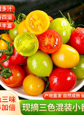 超甜三色小番茄千禧圣女果绿色清甜水果小西红柿应季水果蔬菜新鲜