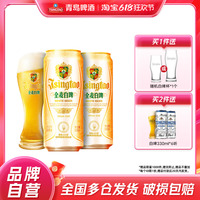 青島全麥白啤啤酒500ml*12聽