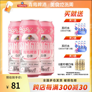 12罐啤 樱花版 整箱 全麦白啤 青岛啤酒白啤11度500ml 包邮 正品