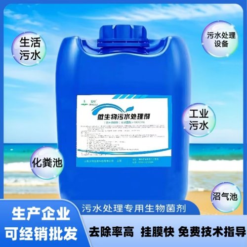 除臭曝气好氧池挂膜填料处理剂