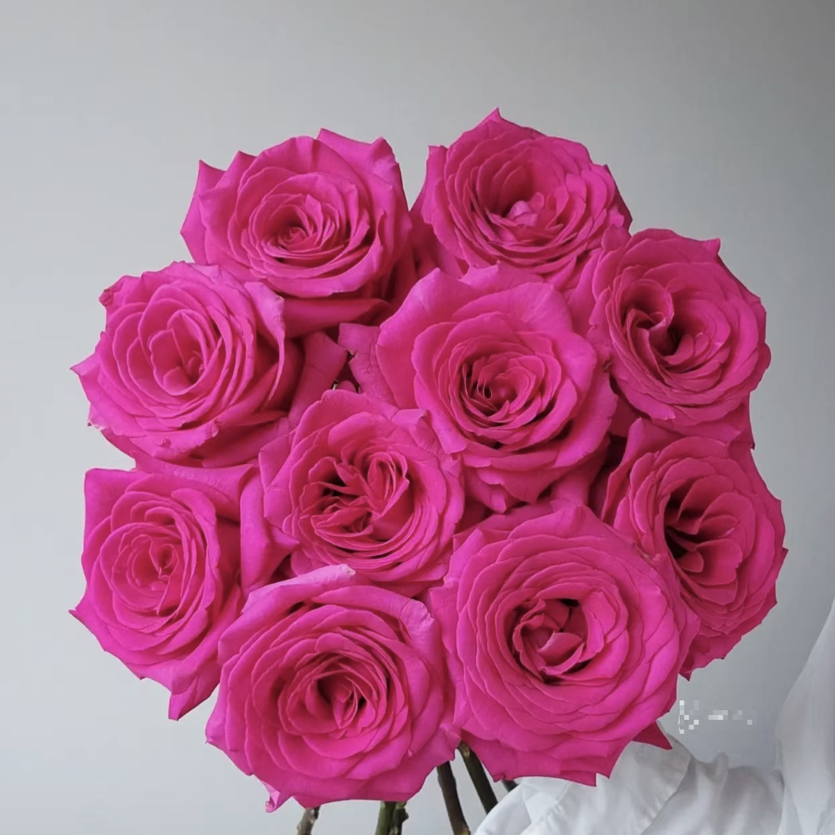 张良-弗洛伊德任意两单顺丰包邮云南鲜花直发0下需拍保温棉