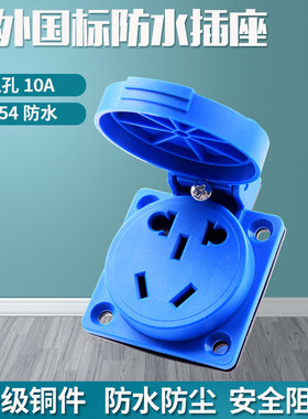 防水防尘IP45电源插座220V二三插5孔10A工业带防护盖国标插座暗装