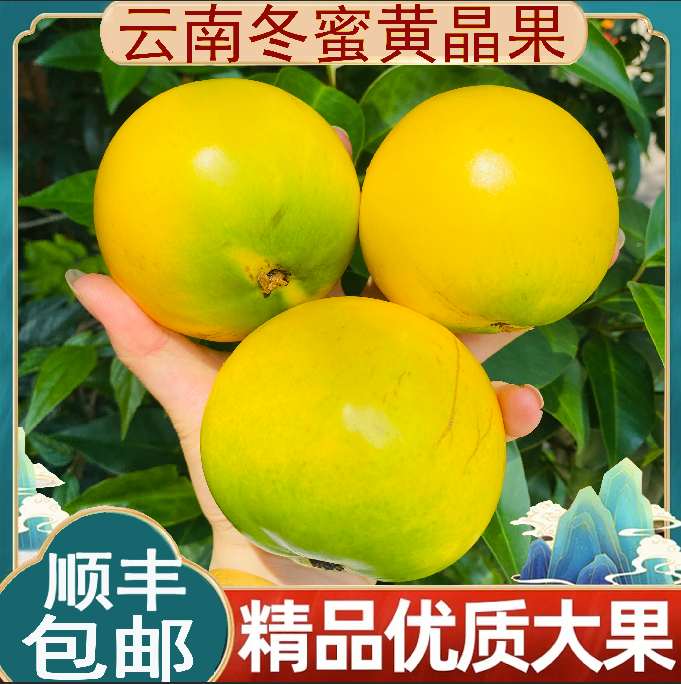 【新鲜水果】云南冬蜜黄晶果牛奶黄晶果雅美果现摘黄金果大果顺丰